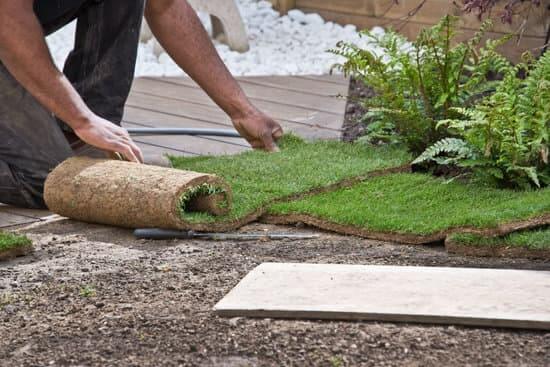 resodding a lawn