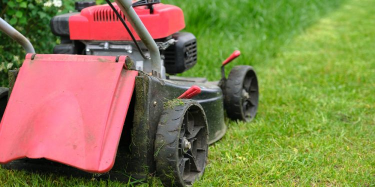 cost for grass cutting