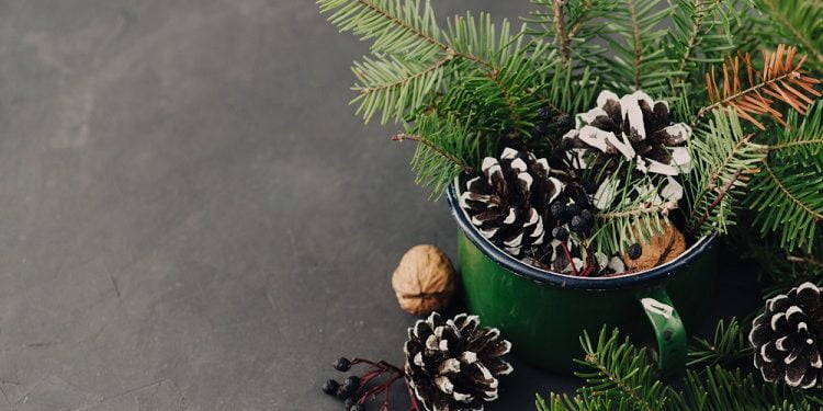 winter planters