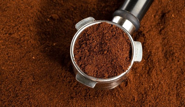 coffee grounds in plants