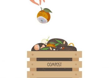 cardboard for composting